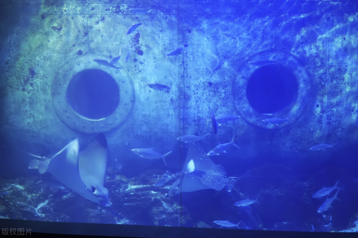 辽宁大连简介,大连历史名胜古迹图片