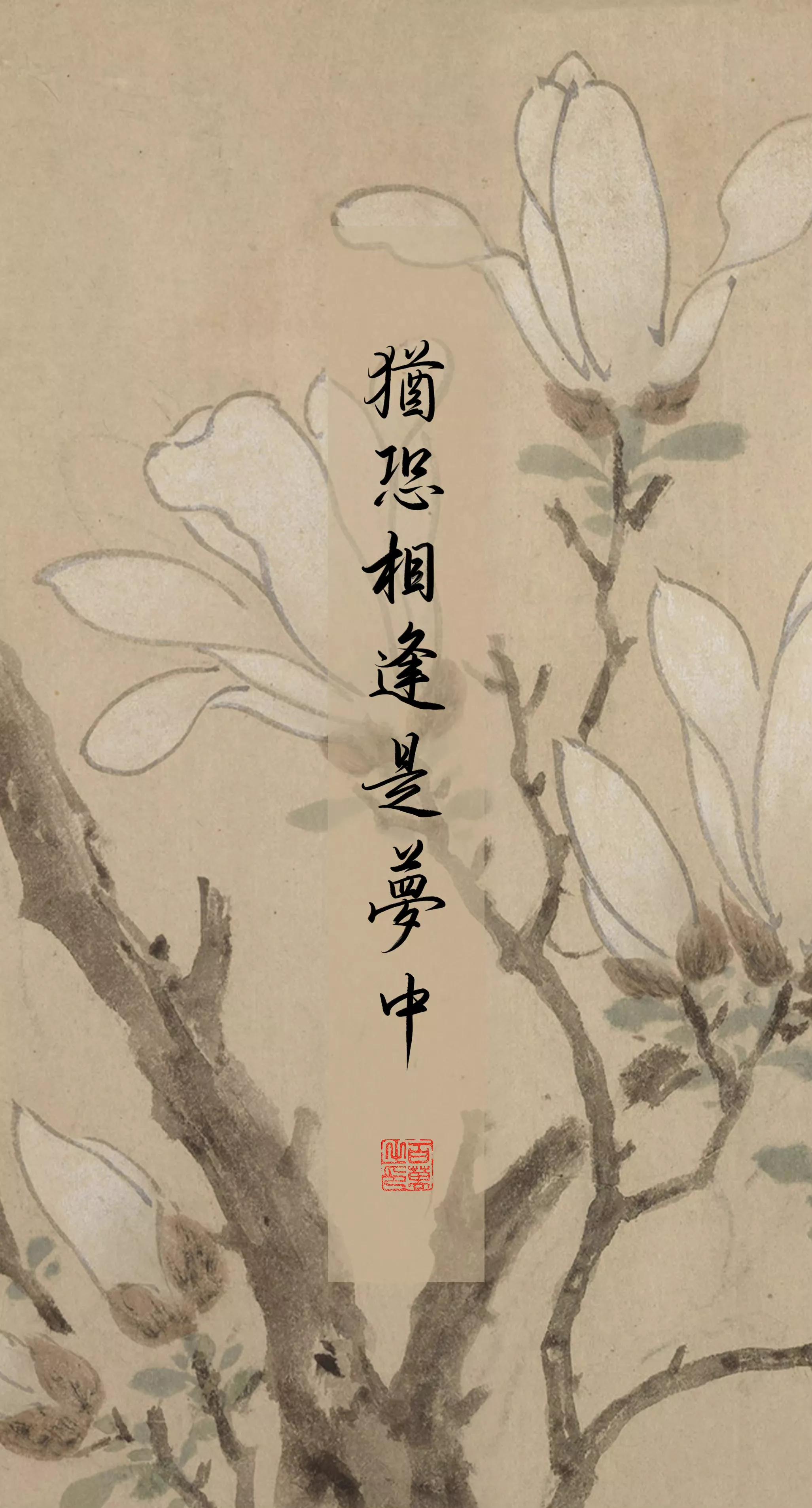 古风文字壁纸手机超清全面屏,古风壁纸文字樱花树