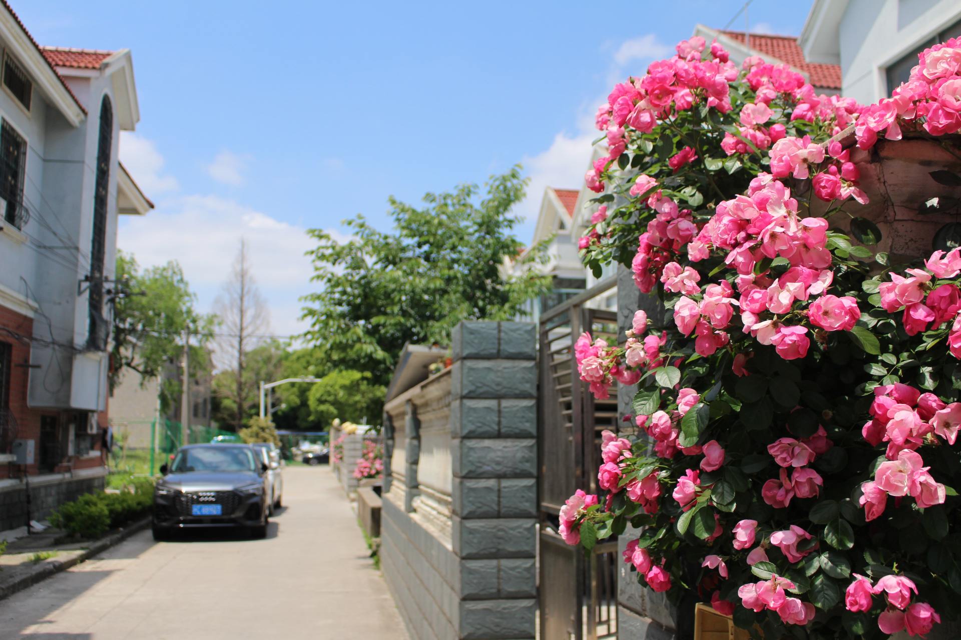 佳能100d新款价格,佳能100d同价位更有性价比的相机