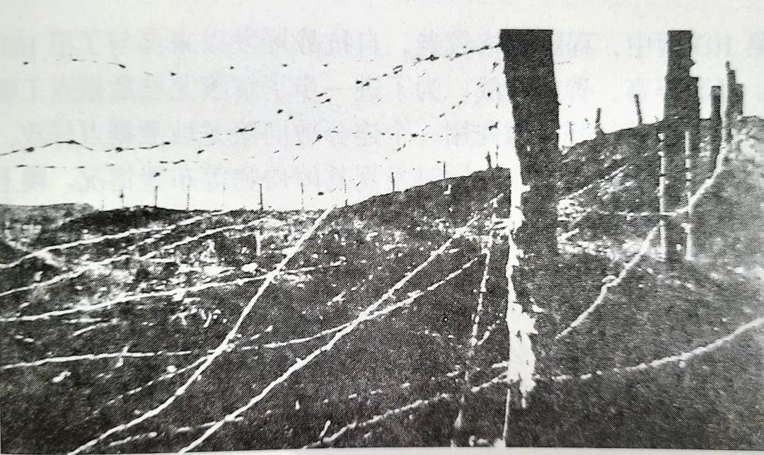 抗日黄埔军校分校,黄埔军校第一批学生抗日