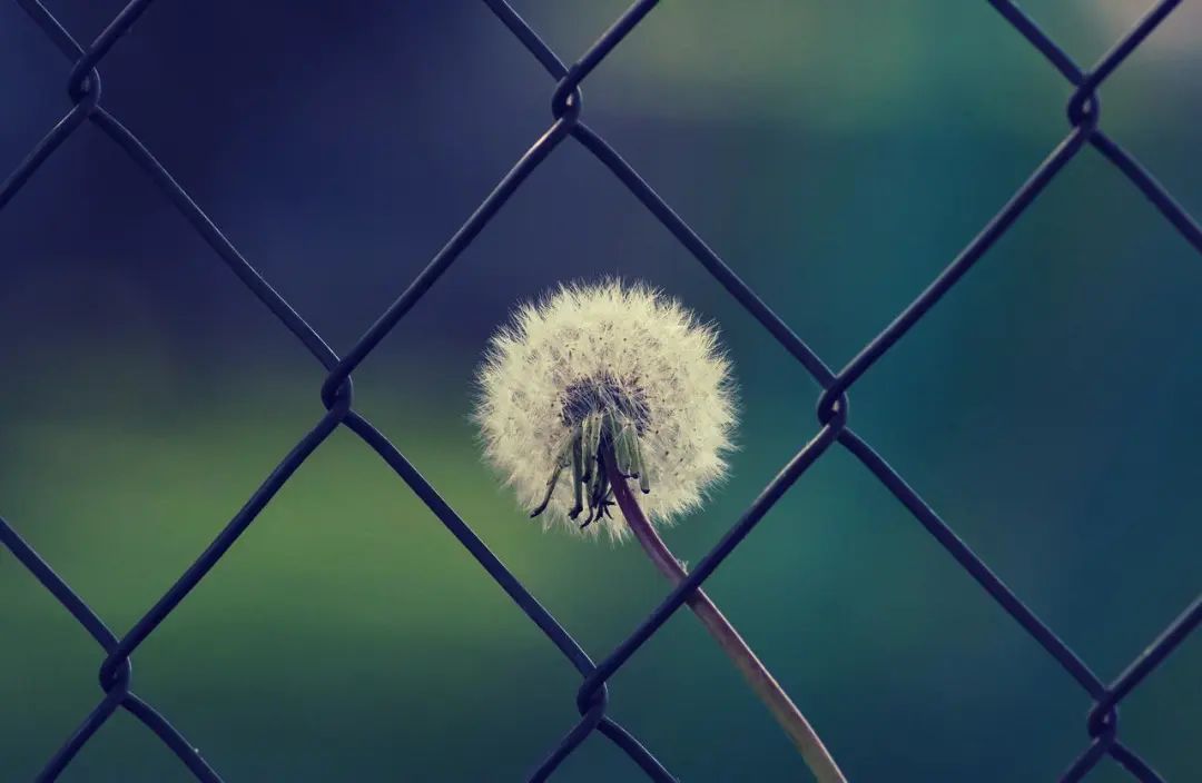 人生需要清零重新开始,人生需要清零重启