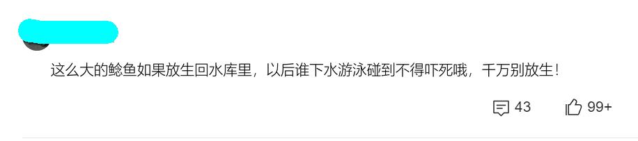 老成精？四川一水库“鲶鱼王”被人钓起，重89斤，许多人劝放生