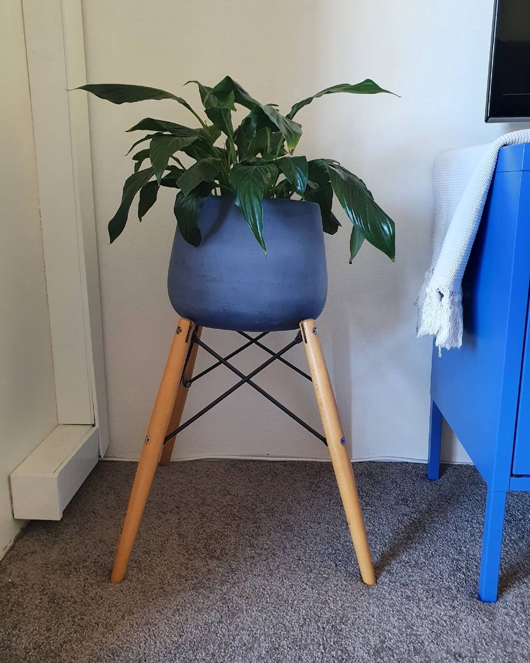 小哥为省钱在悉尼捡垃圾，年赚2万澳币，名包手机电脑随地捡？