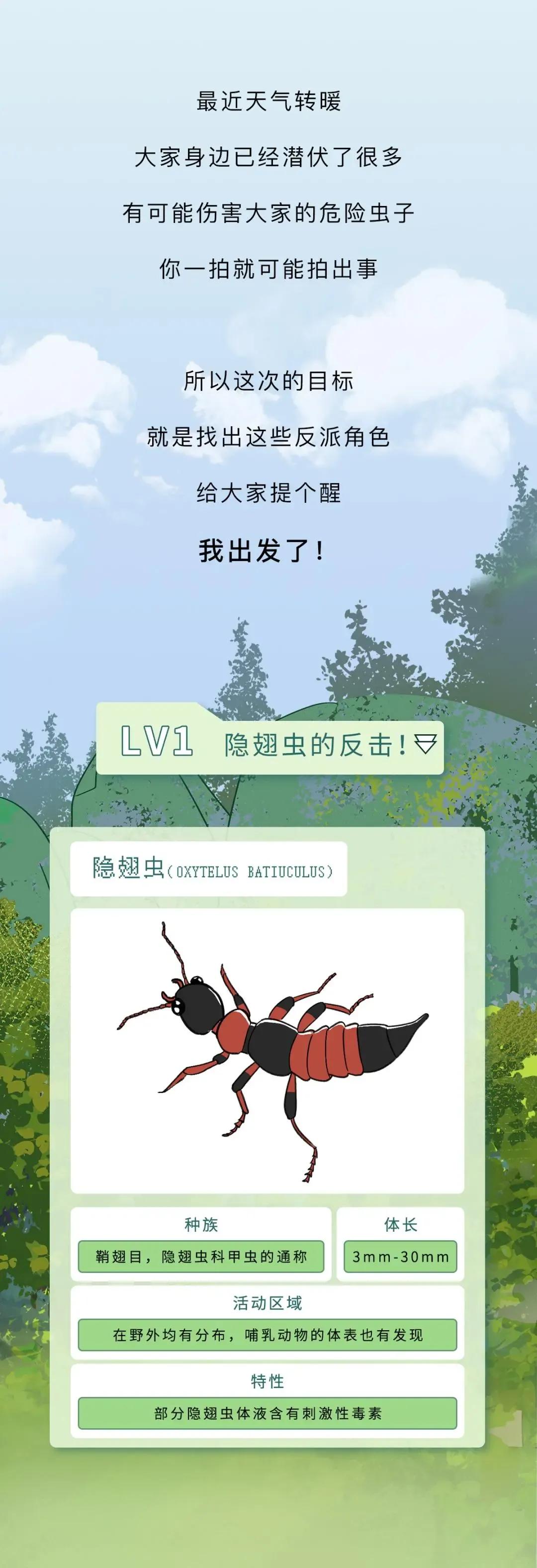 最近看到这些虫子，不要随便拍，建议提前了解（漫画讲解）