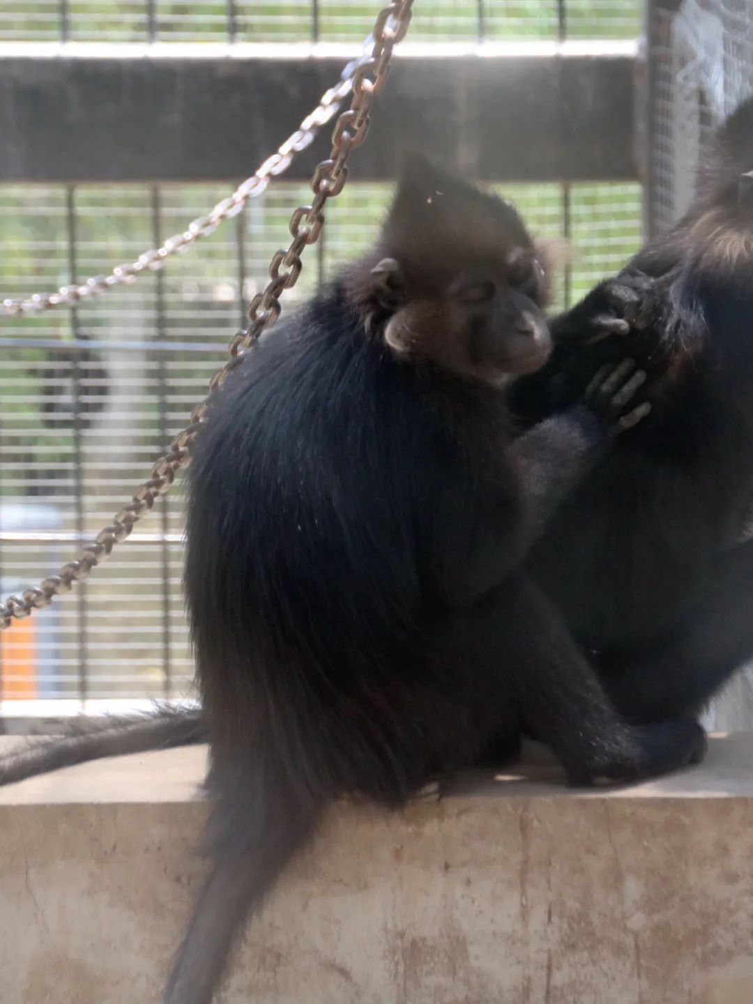 淮安动物园位置,淮安动物园多大面积