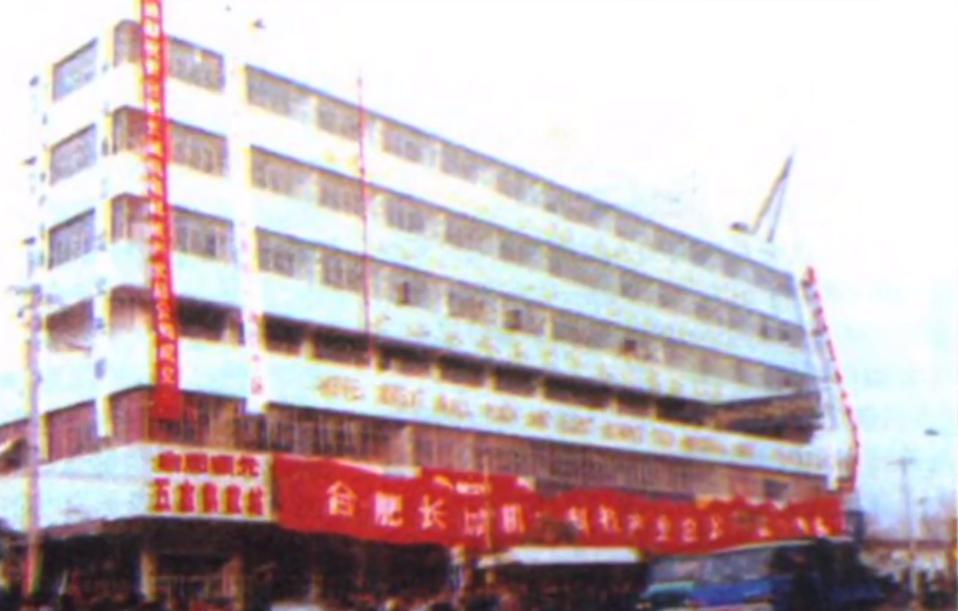 长城公司仅用九个月集资10多亿，波及17省，93年中央为何紧急终止