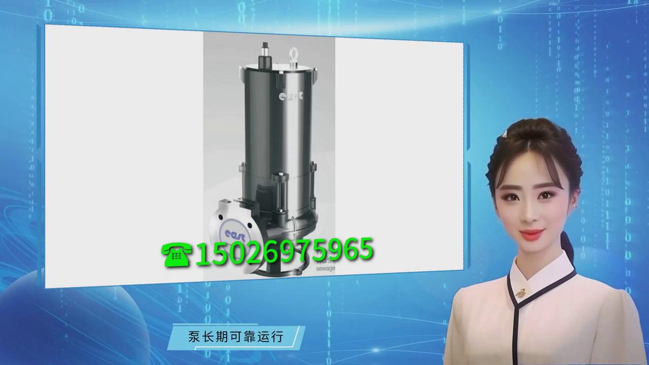 上海东方泵业潜水排污泵,上海东方hq潜水污水泵