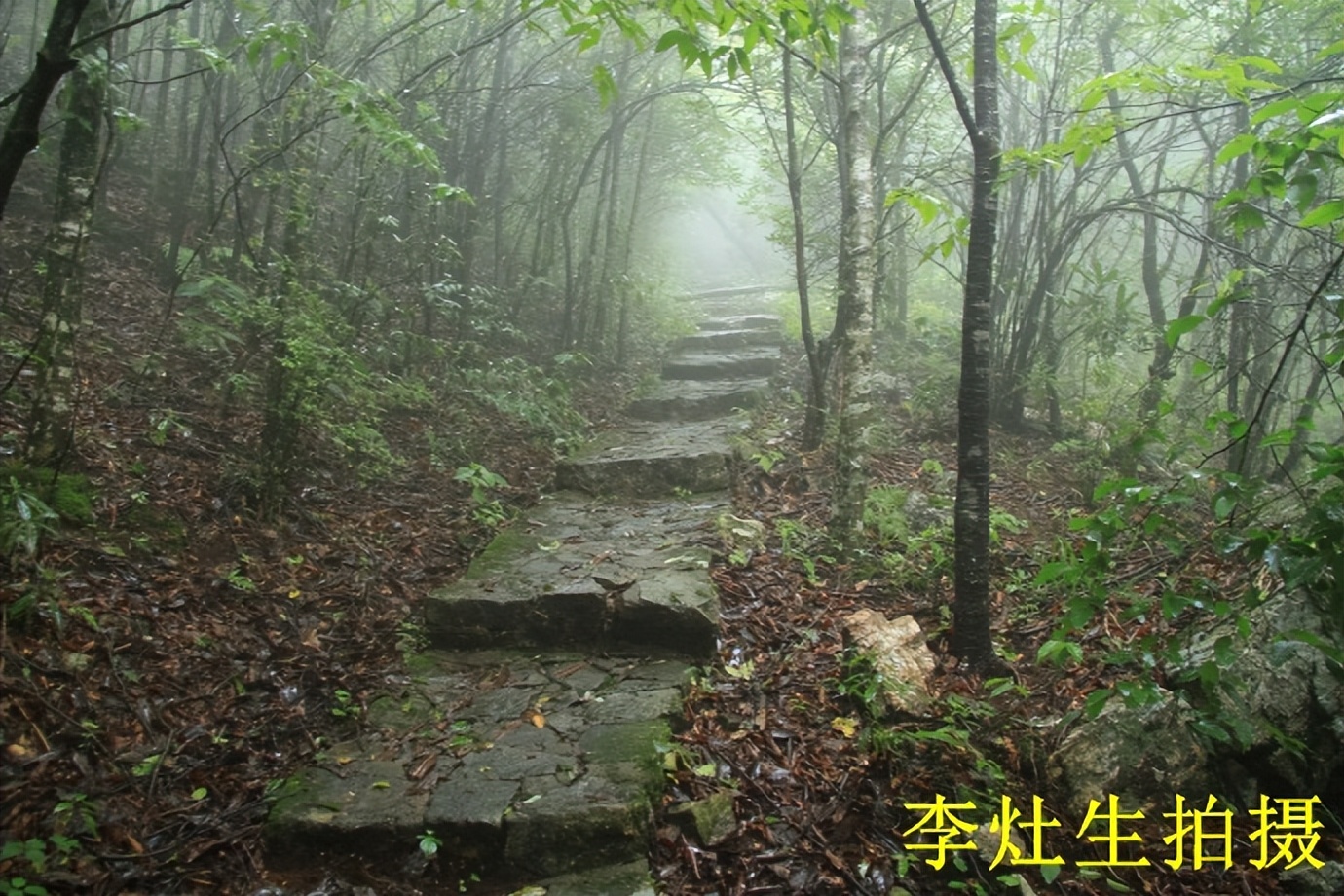 桂林猫儿山老山界,老山界猫儿山