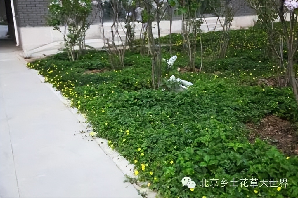 缁挎櫘鏂瑰渾鑺卞崏绉戞妧鏈夐檺鍏徃,缁挎櫘鏂瑰渾