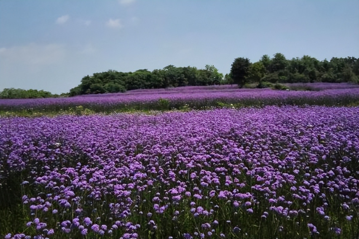 只赚不赔的投资坑,只赚不赔的投资是骗人的吗