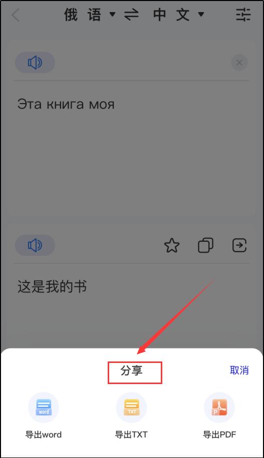 俄语视频翻译软件,俄语翻译软件在线