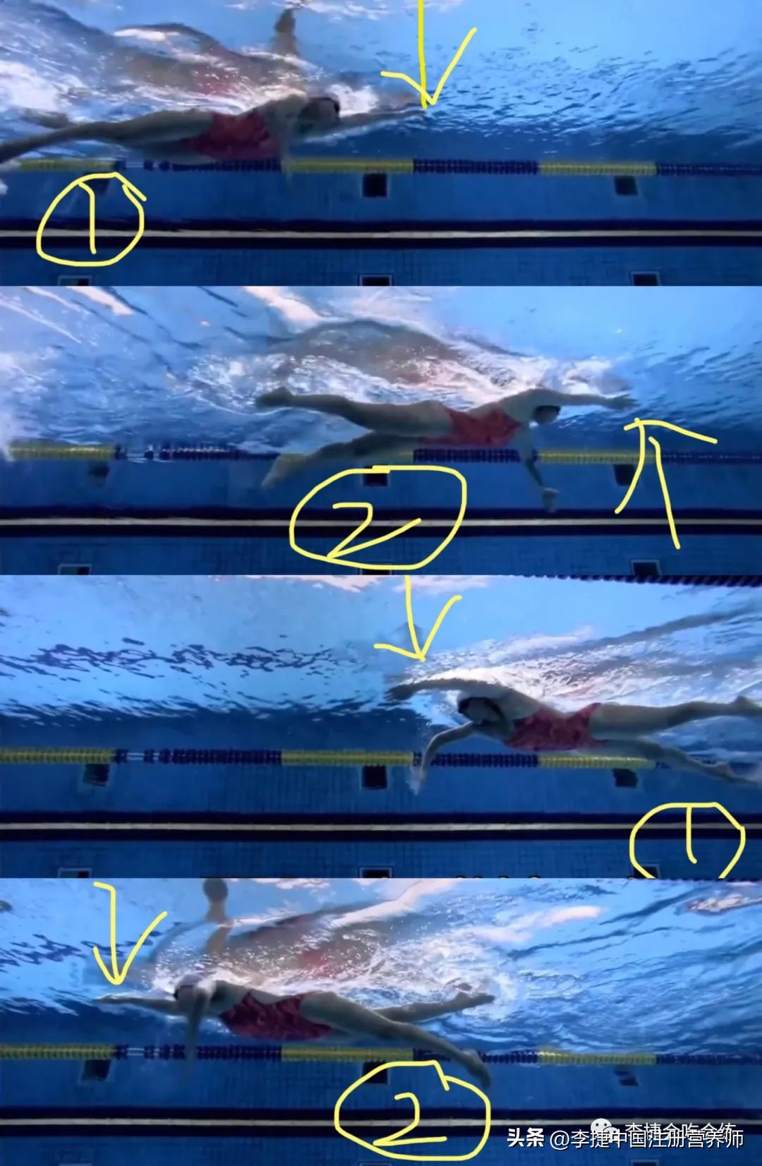练习自由泳转身慢动作视频,视频自由泳技术动作对比分析