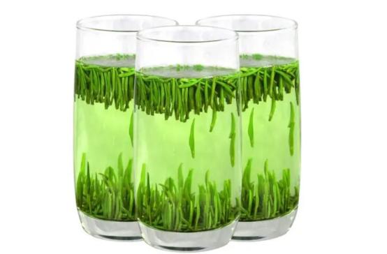 泡茶泡的水用热水还是温水,泡茶是冷水泡还是热水泡