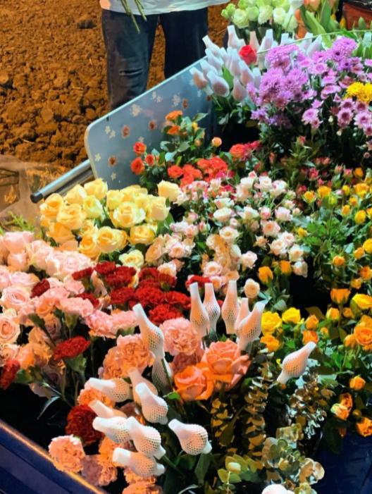 非遗展演美食美景直播,烟火美食节目