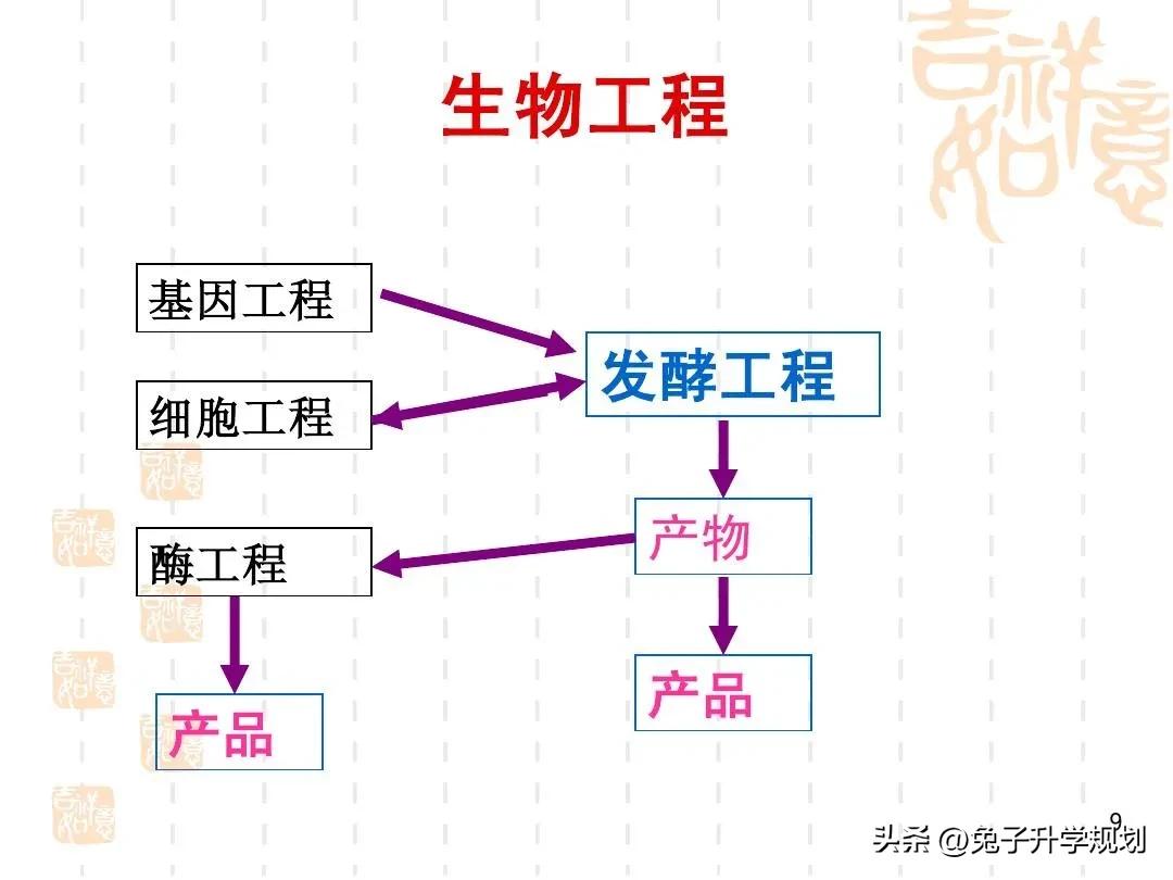 大学专业分享,生物工程包括的专业详情