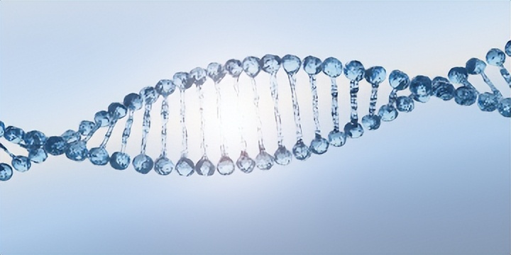 药康生物登陆科创板,集萃药康3月科创板上市股票