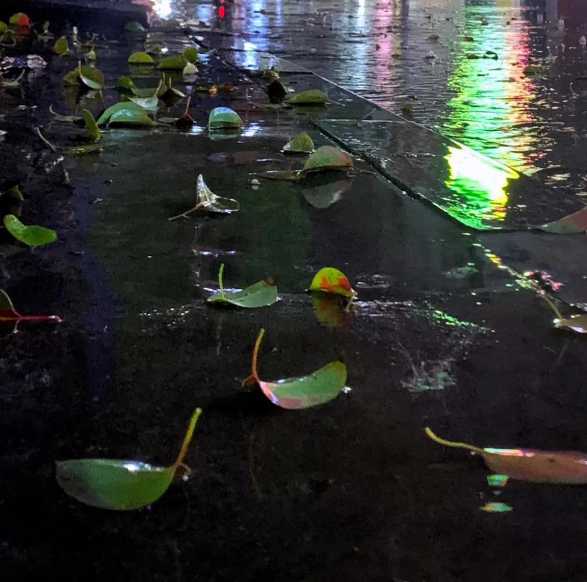 对于迷茫的本科毕业生如何择业,应届毕业生都是怎样选择就业的