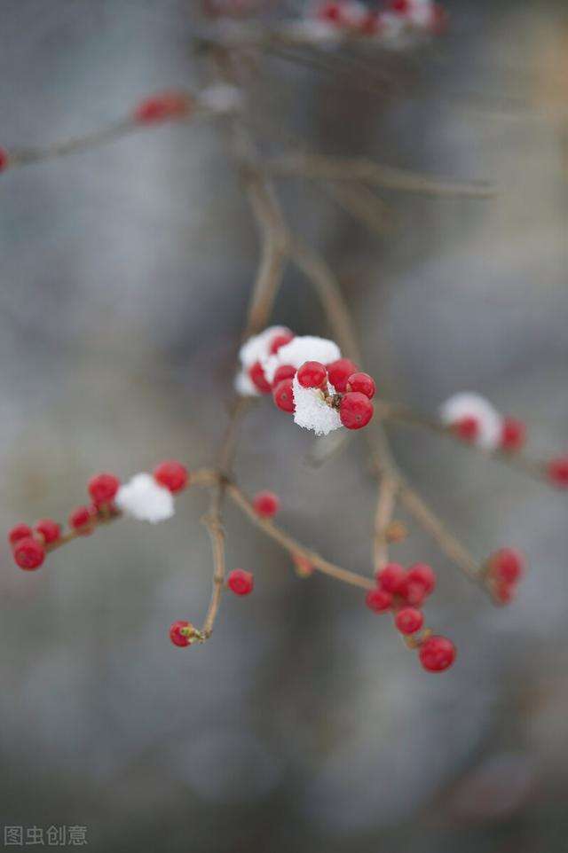 墨海扬波诗词47首,墨海扬波诗词全集