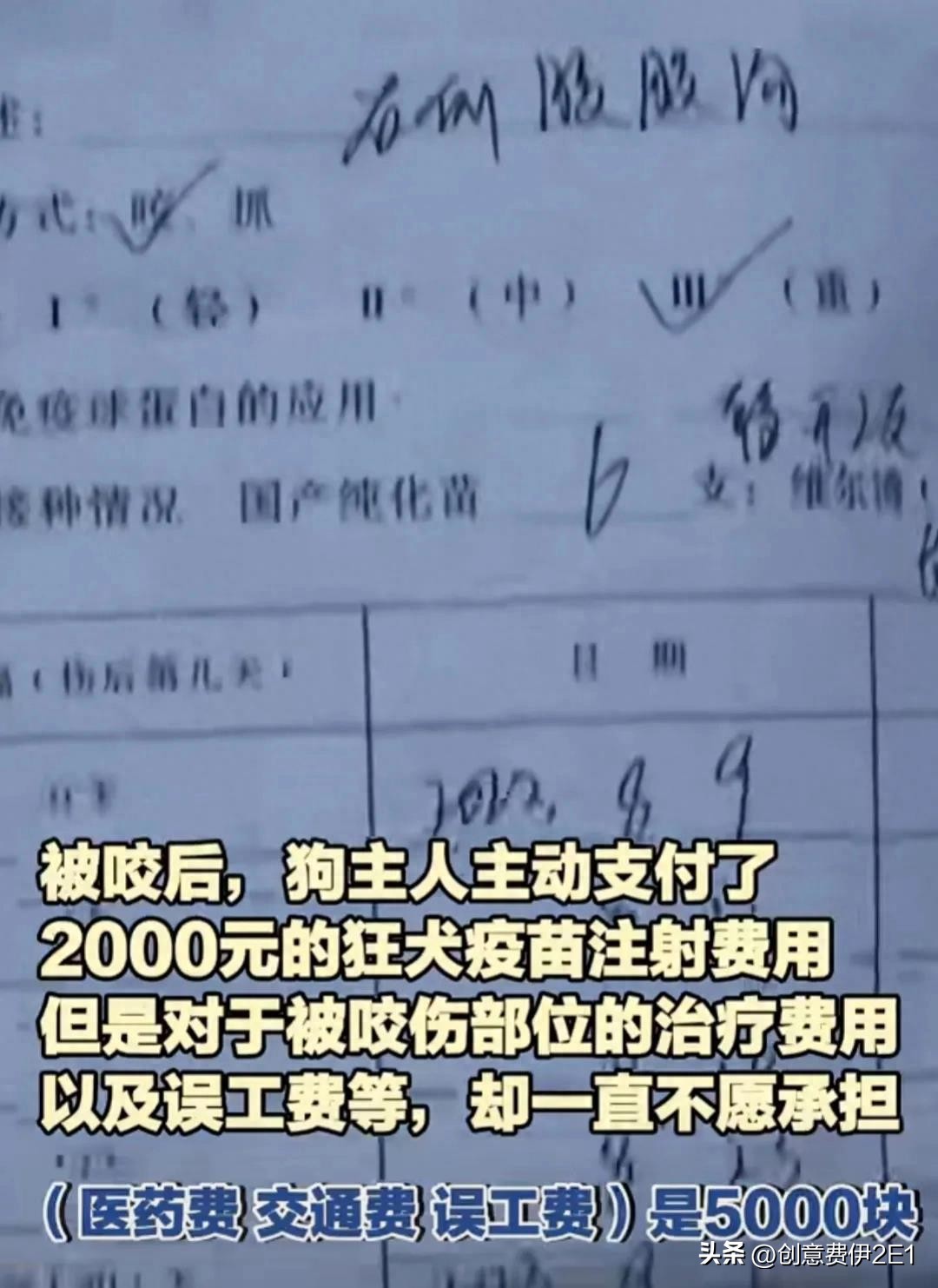 女生夜跑被恶犬咬伤后续,女子夜跑被恶犬咬伤在哪个部位