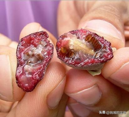 马来西亚特别推荐的水果,华人在马来西亚所占的比例