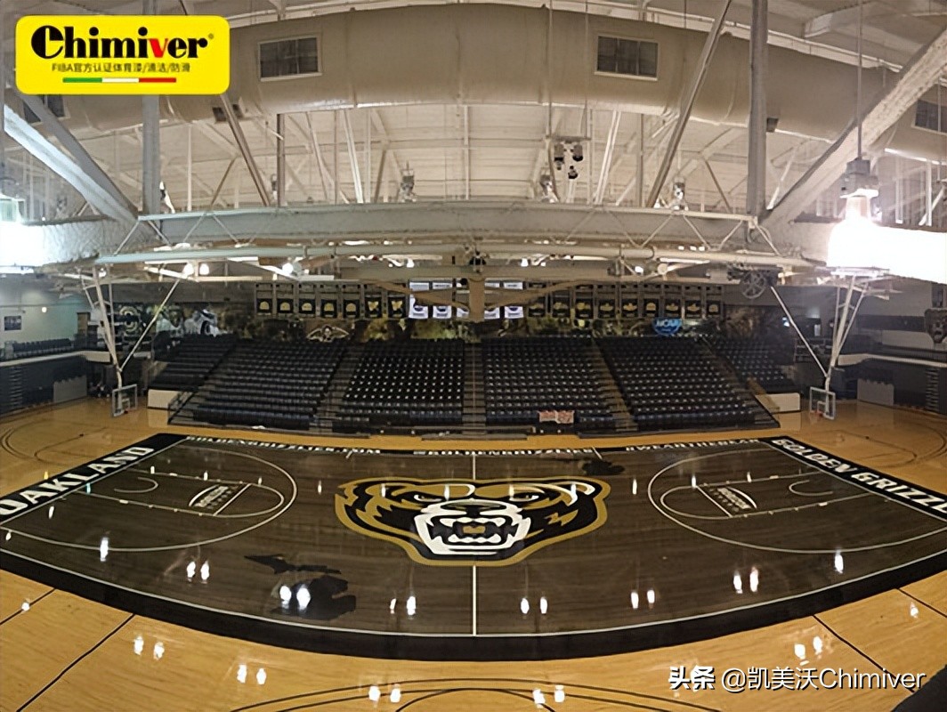 篮球馆木地板logo,篮球馆木地板定制尺寸