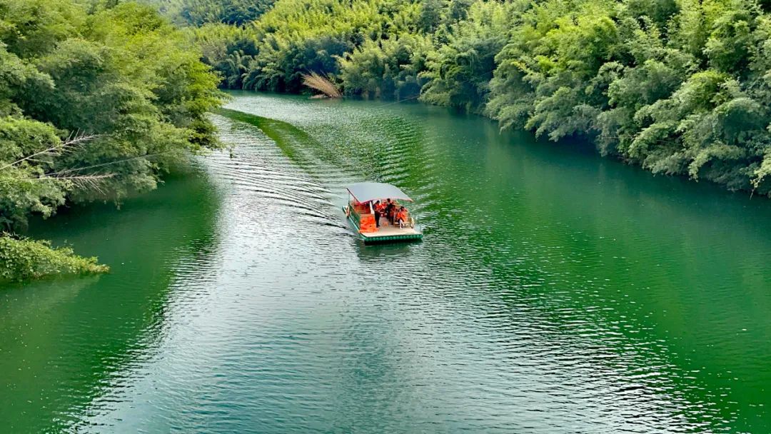 广东广宁深耕竹产业促进绿色发展,广宁县国际竹产业创新发展