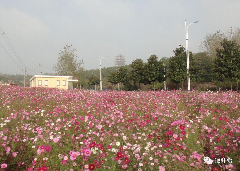 连载｜|《画说盱眙》之八：城市靓点——休闲娱乐中品味文化