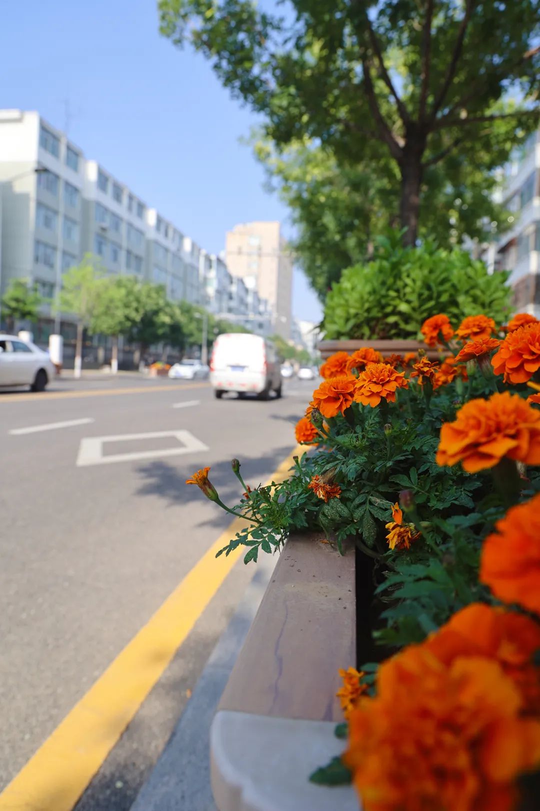 太原迎泽区水西关南街,太原迎泽水西关