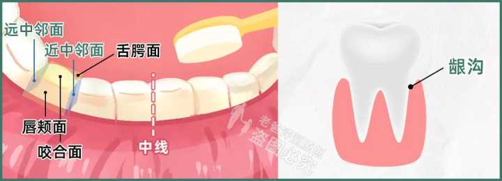 水牙线对比测评,高科技与智商税