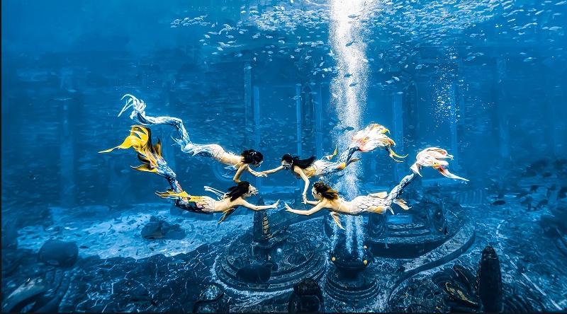 塑身健体的美人鱼潜水