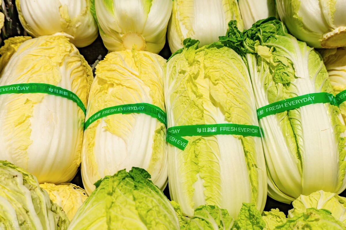 铲屎官可以吃猫草吗,铲屎官喂什么都吃