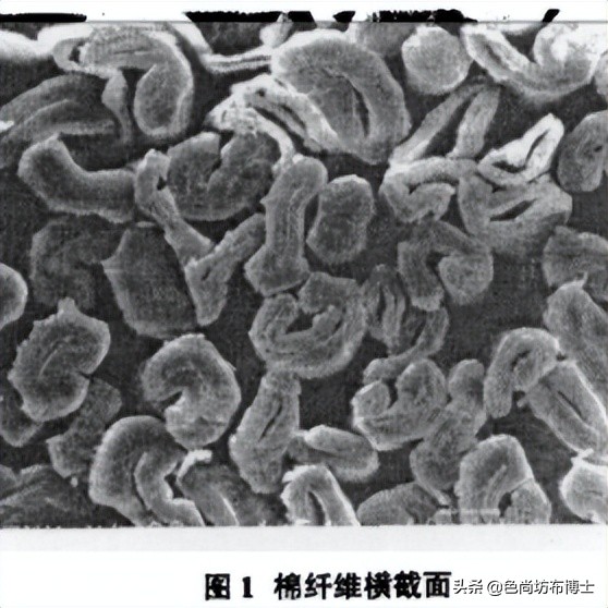 仿丝棉和聚酯纤维怎么判断,超仿棉纤维参数
