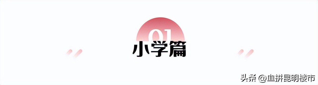 从小学到初中再到高中毕业,从小学到初中高中大学一路走来
