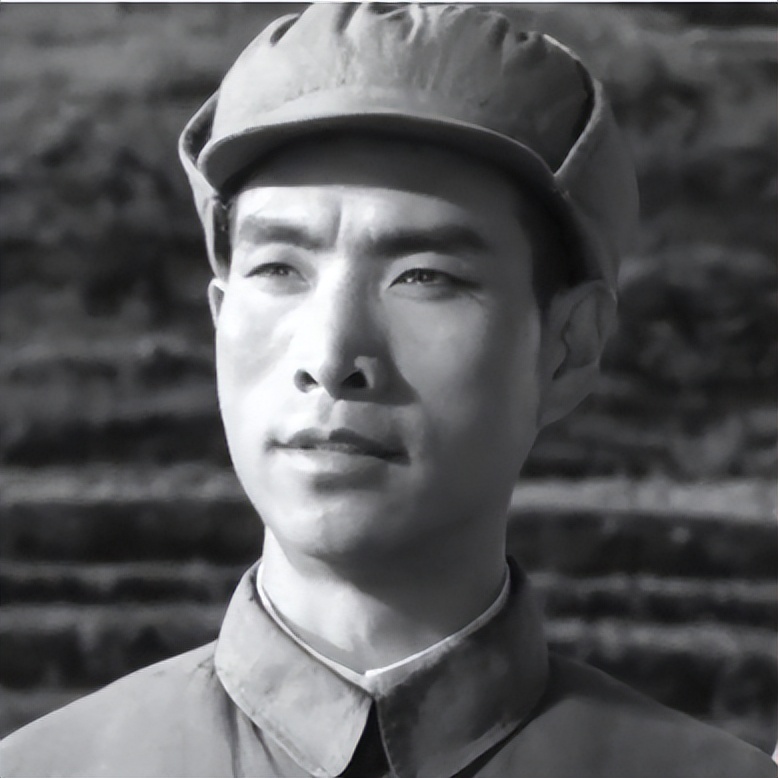 关于革命的小说红日简介,长篇小说红日沈振新的原型是谁