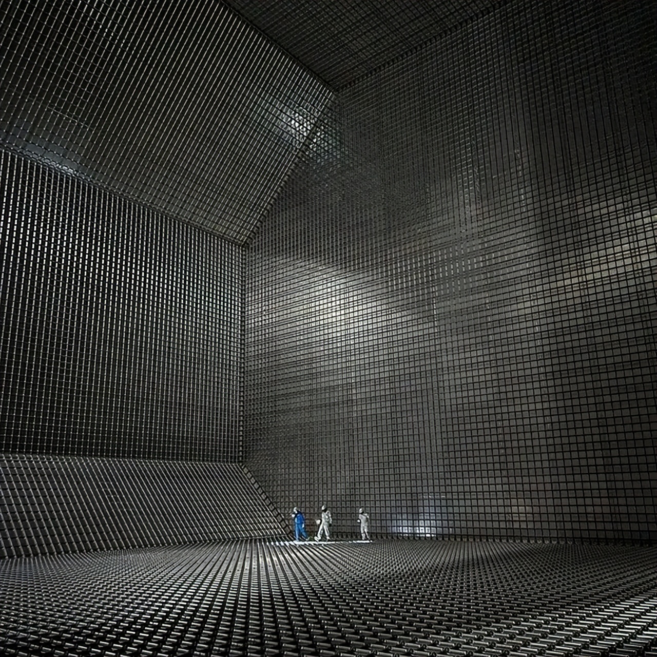 50个稀世珍宝,50个罕见的巨物让人惊叹