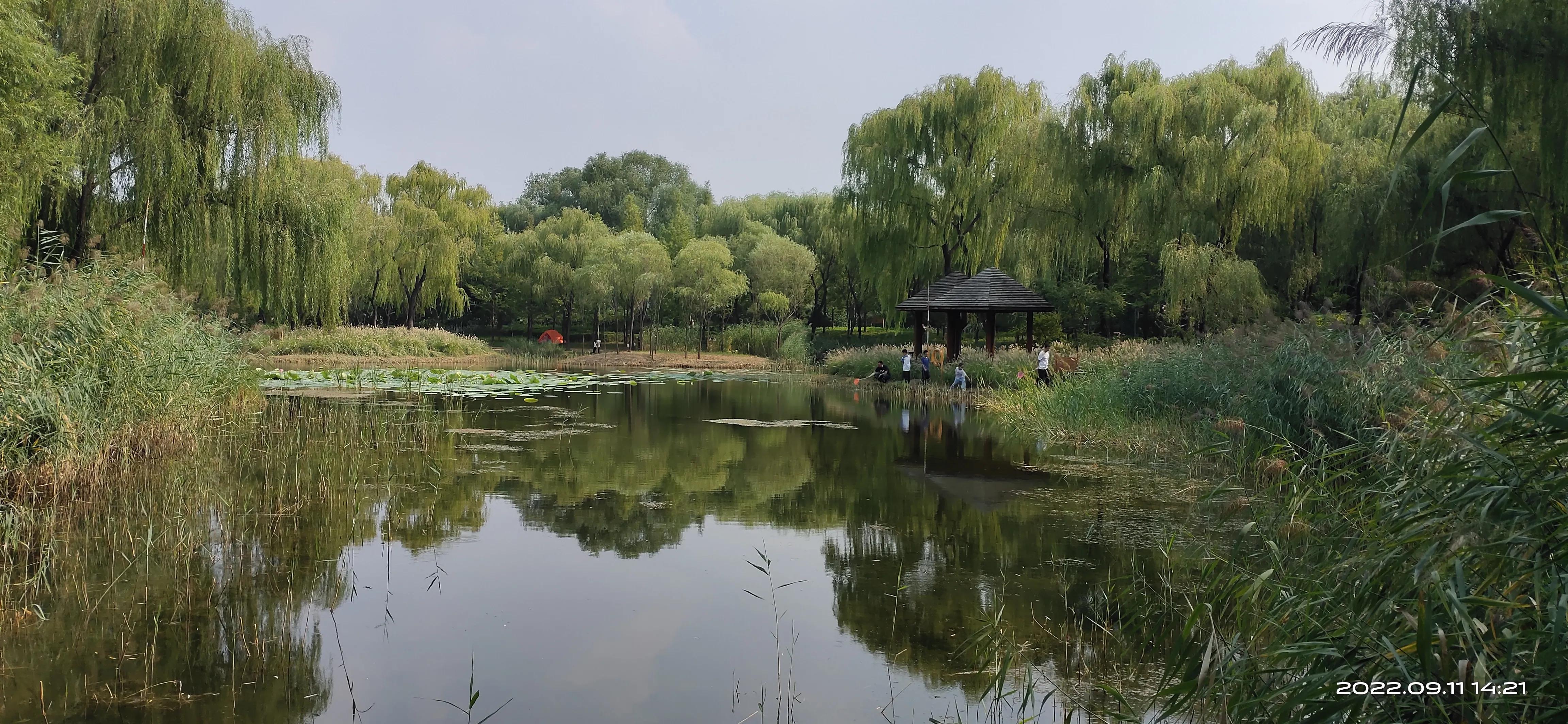 济南森林公园,济南森林公园周边游玩