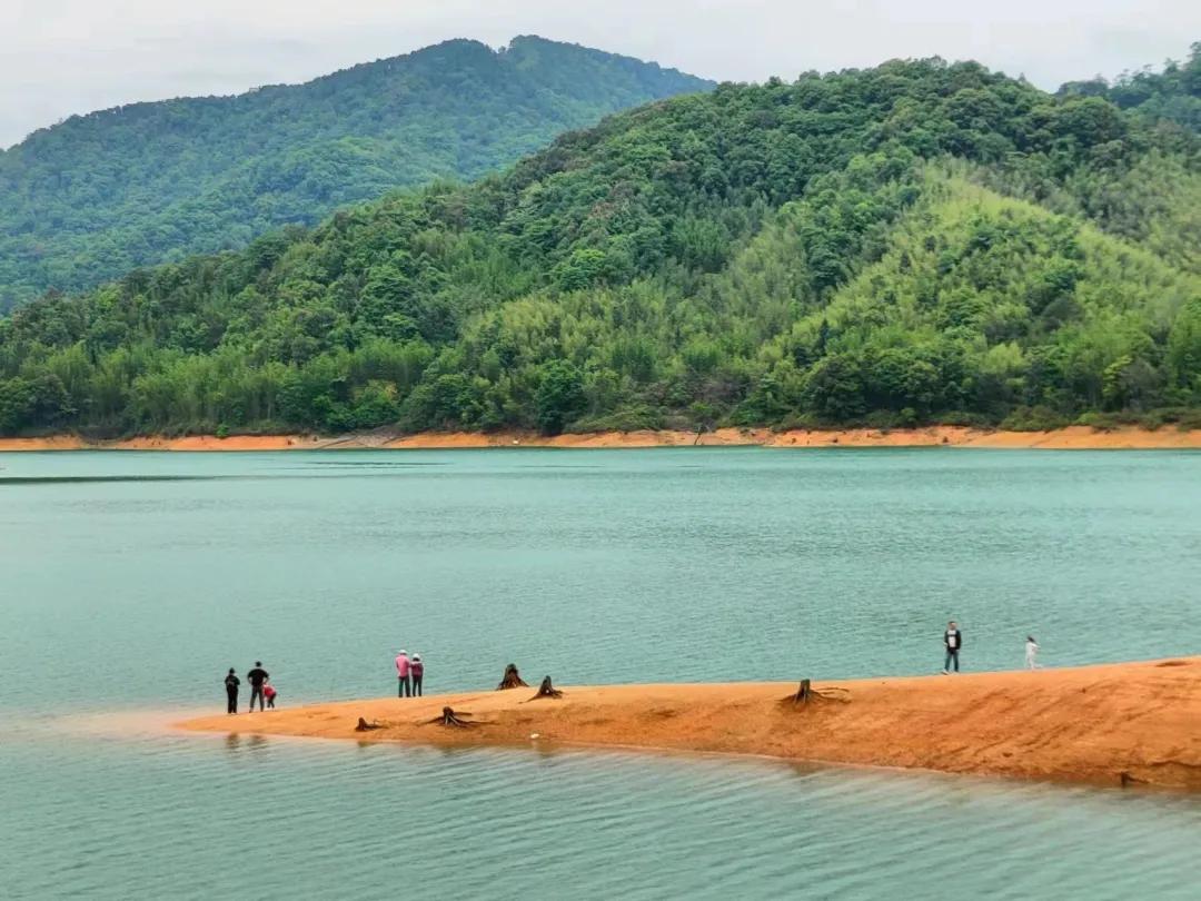 广州从化赏荷花胜地,从化草埔荷花