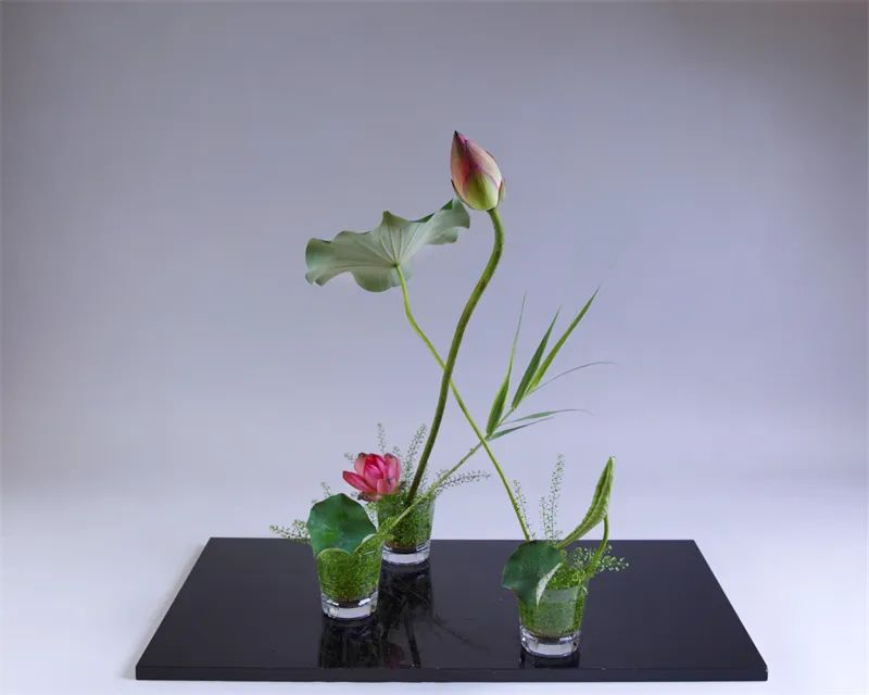 日本顶级禅意插花荷花,日式荷花插花