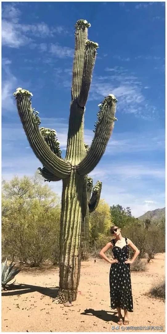 泰勒斯威夫特newromantics悉尼,泰勒斯威夫特人生感悟