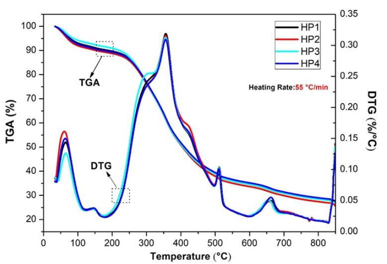 通过热重仪解构CNB树皮，是否能高效率转化为高能量密度液体燃料