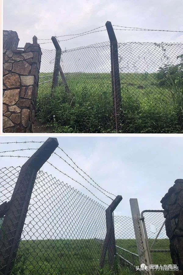 香港徒步麦理浩径全程攻略介绍,香港狮子山徒步攻略