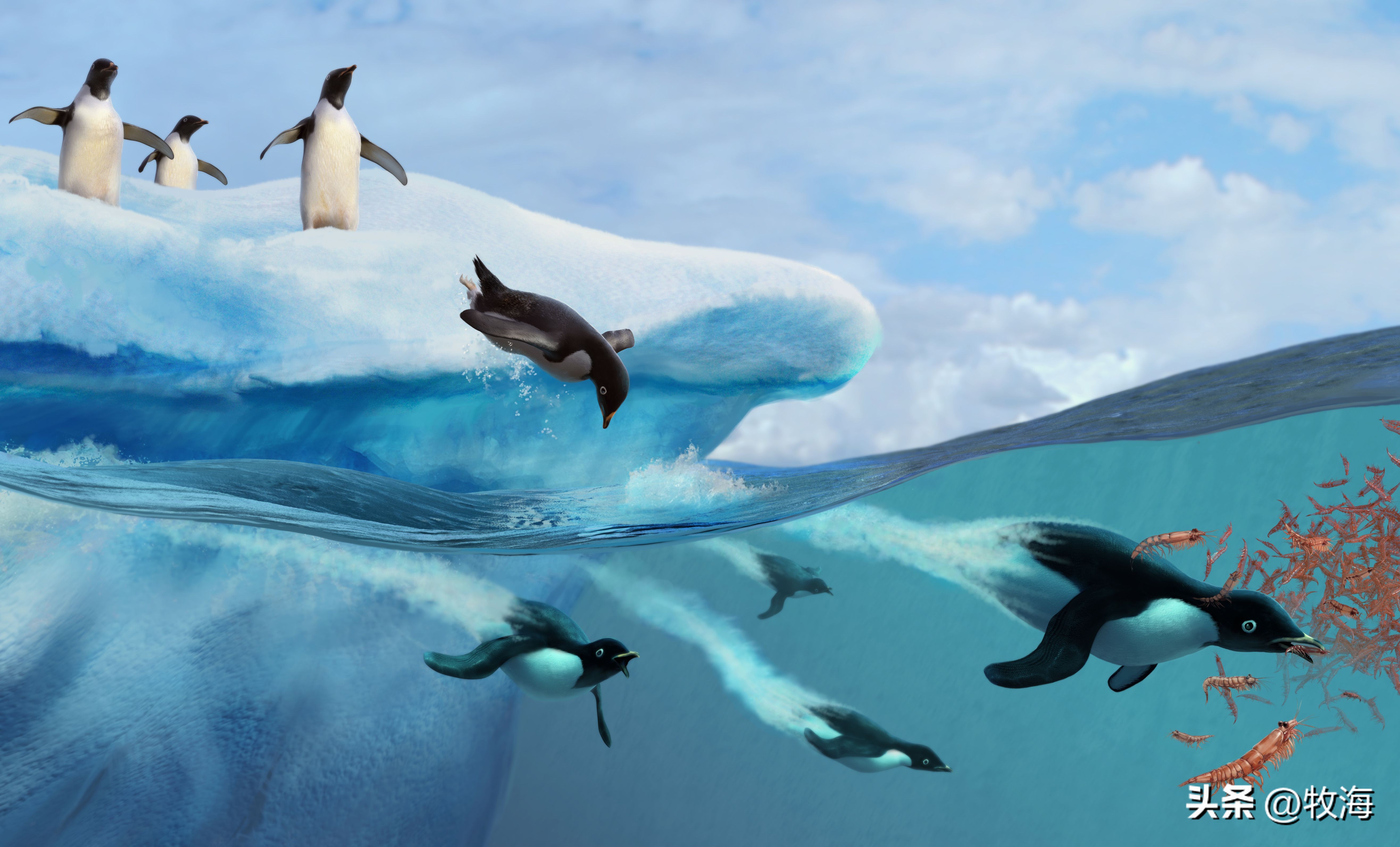 南极磷虾船最新消息,南极磷虾大爆发