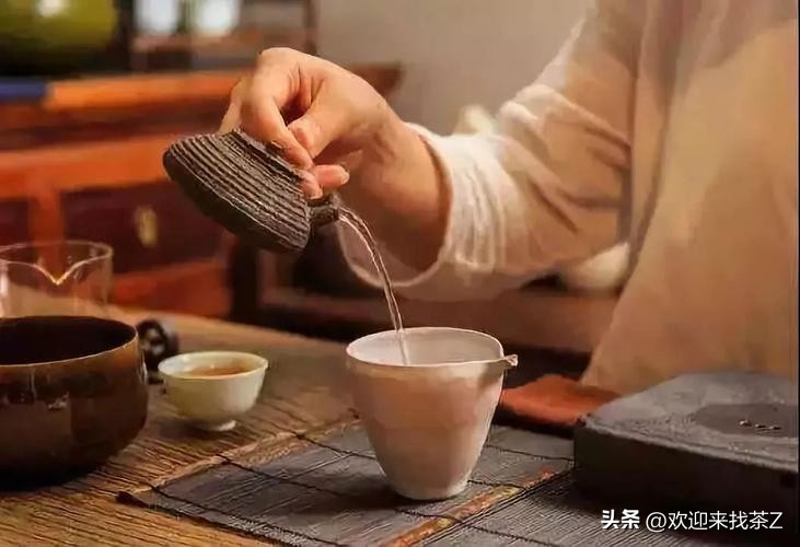 最高级的茶是什么茶,初级喝什么茶高级喝什么茶