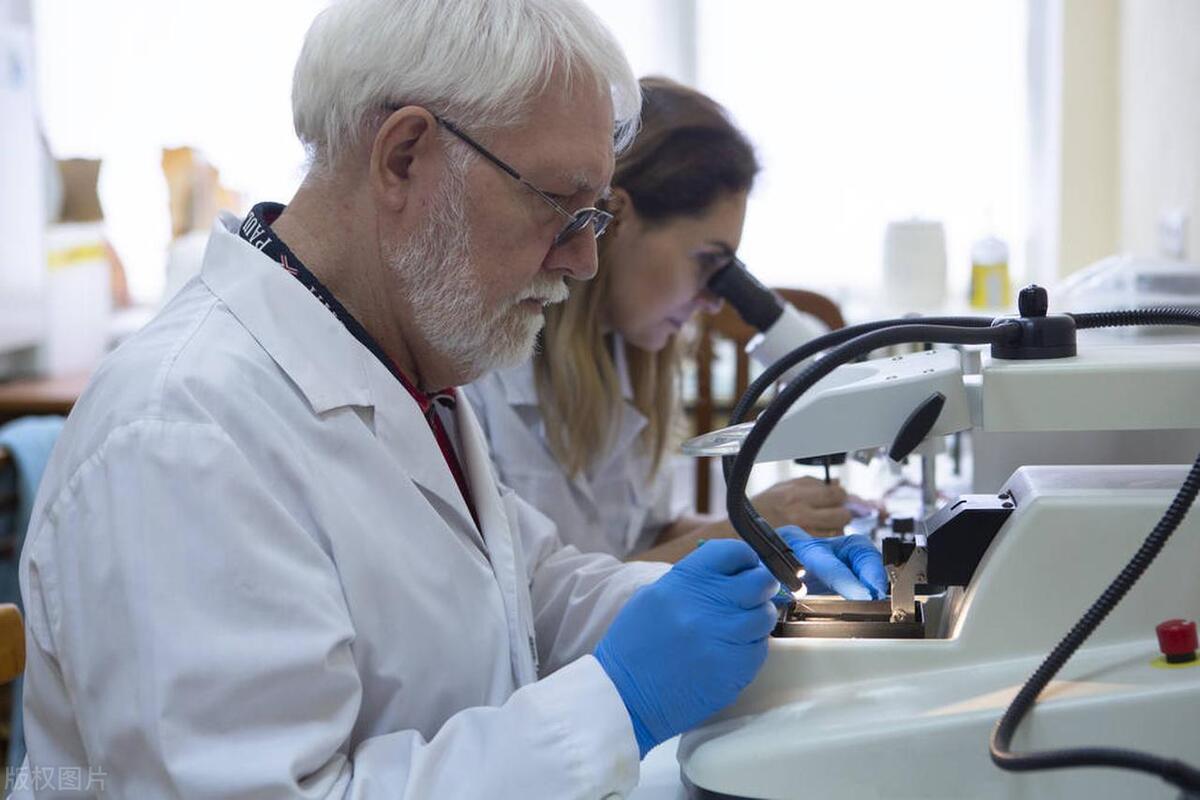 大学生物医药专业排名,实用医学生物技术专业排名