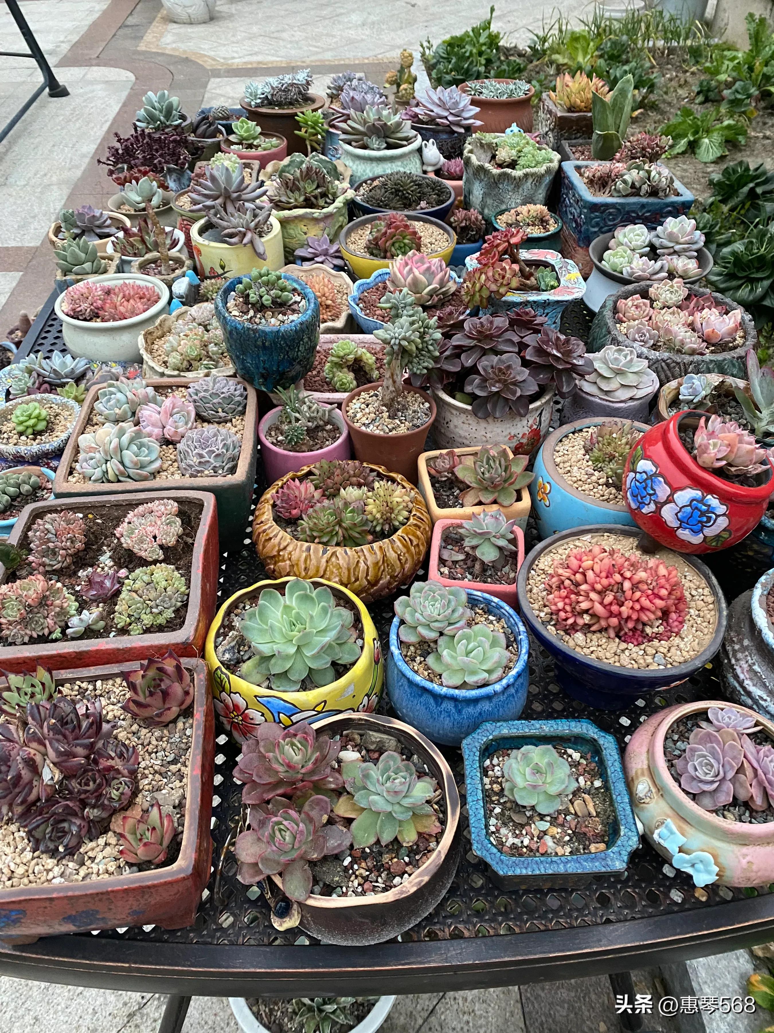 我的照片全部删了怎么找回来,我的照片图库在哪里