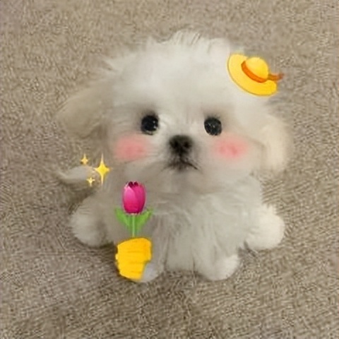 点个外卖都能被骗2000？这3个雷不得不防啊