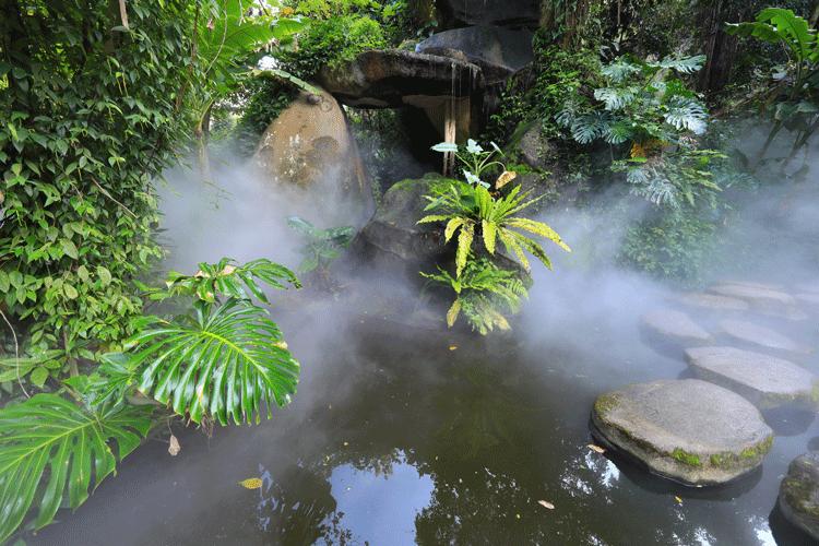赏城中美景，品厦门味道。城市中心C位酒店，毗邻植物园、中山路