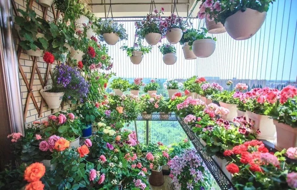 花盆里有小虫子4个小方法,花盆里的小虫子用什么药能治