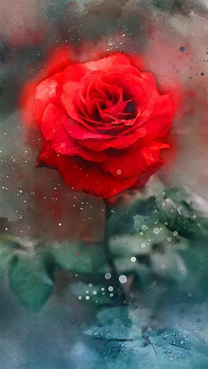 520适合发朋友圈的配图爱情,入目无别人四下皆是你英语