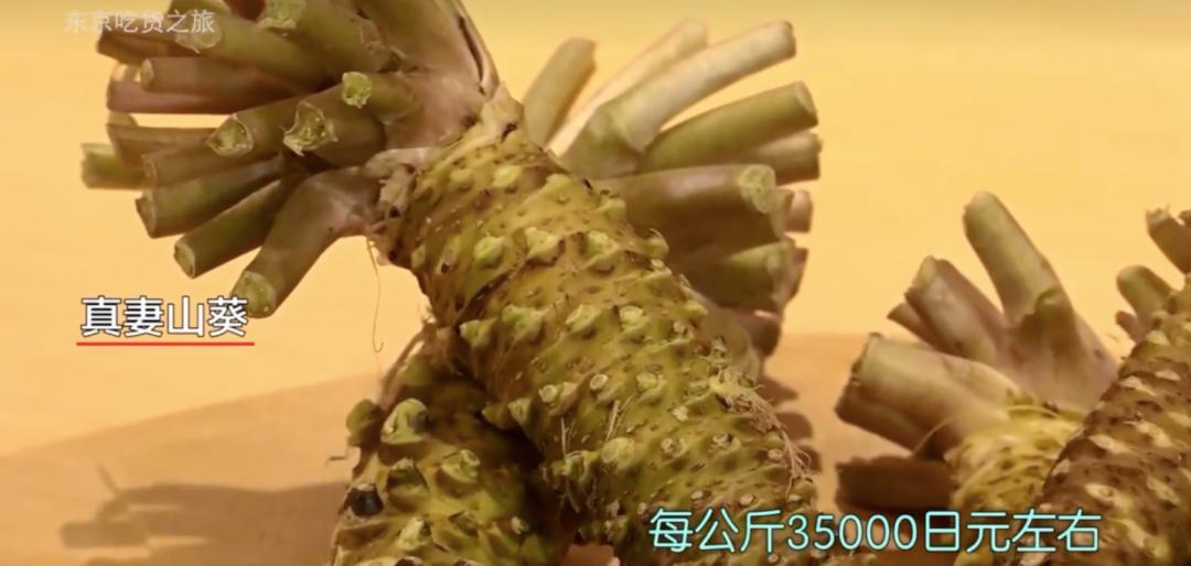 我们吃的芥末不是真正的芥末吗,芥末太辣了真的吗